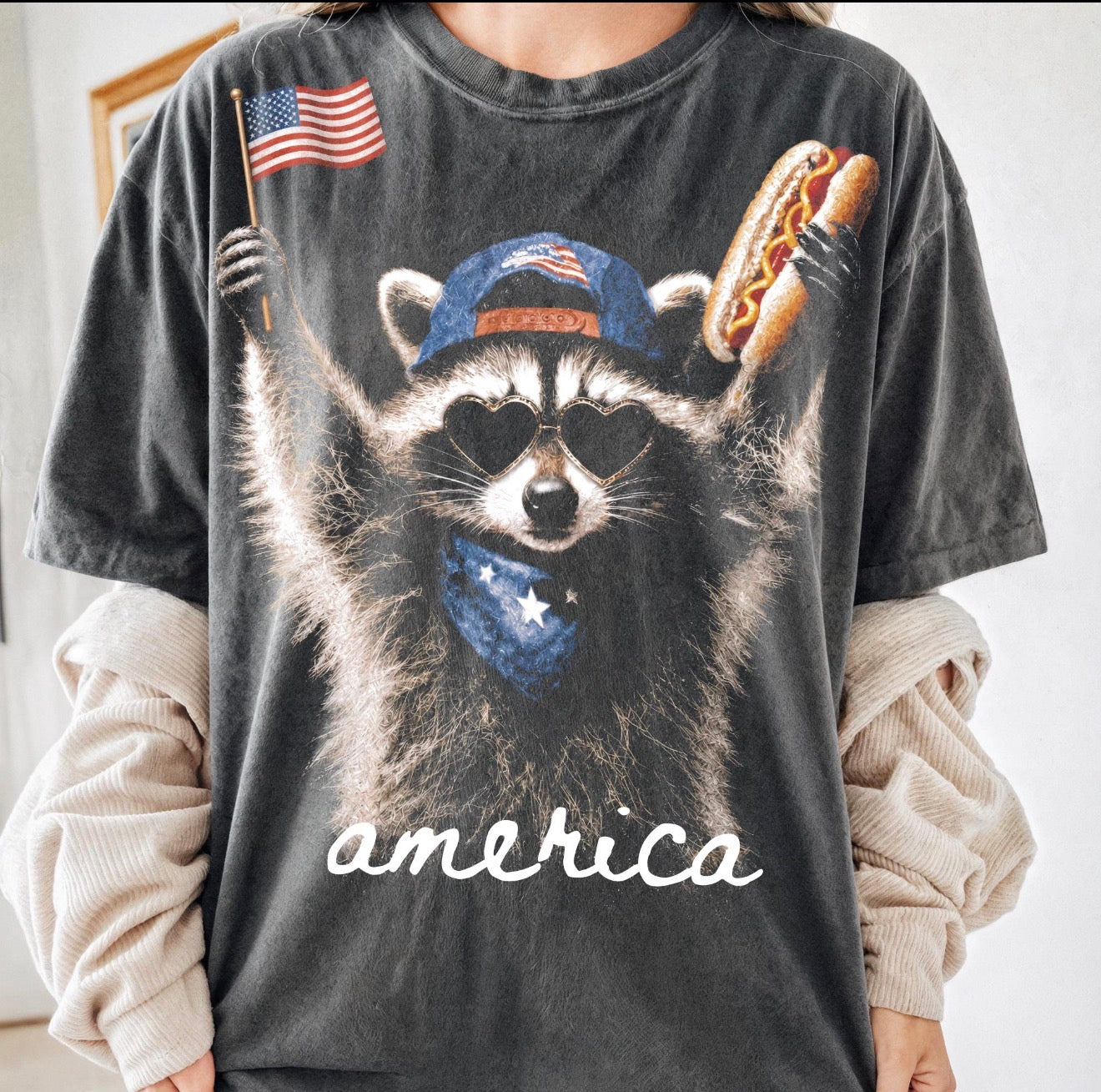 Raccoon America