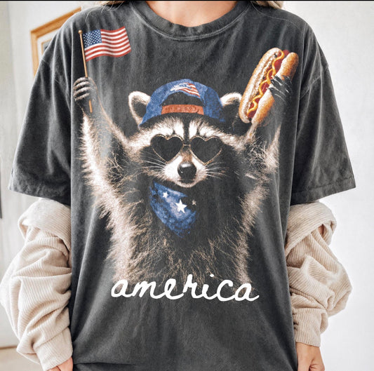 Raccoon America
