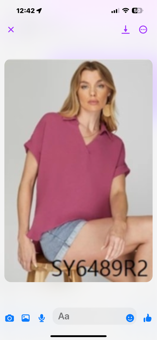 Mauve Basic Flowy Vneck Blouse