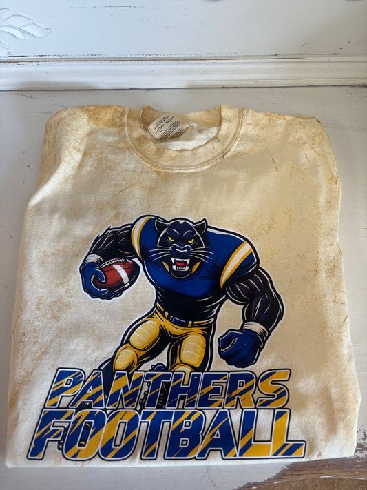 Panthers spirit